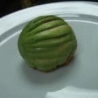 Best Avocado Salad in Rockland, MA